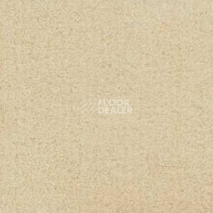 Ковролин Radici Admiral Nougat 2216 фото 1 | FLOORDEALER
